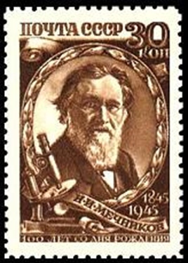 mechnikov_fig2