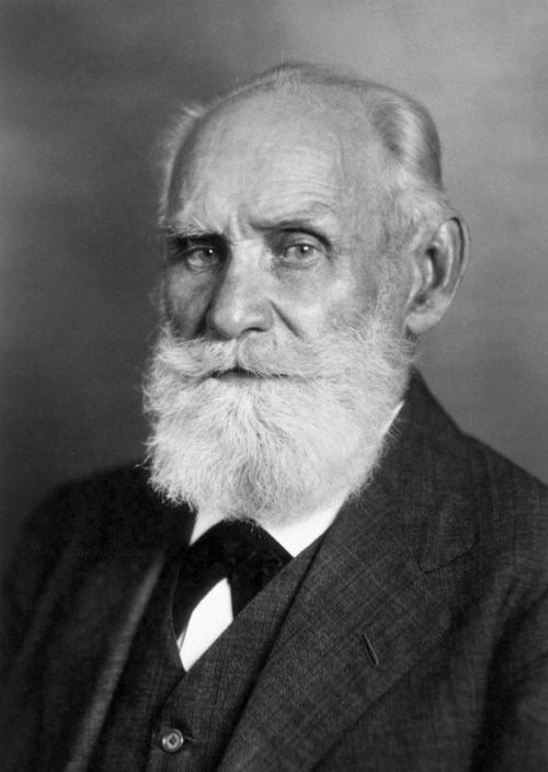 pavlov-fig1