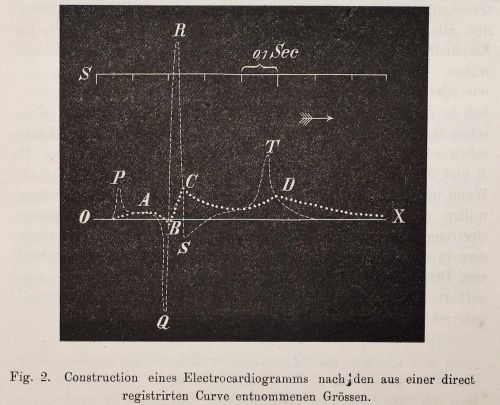 einthoven-fig1