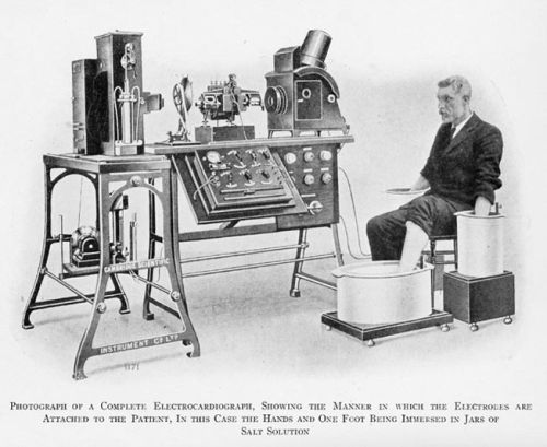 einthoven-fig2