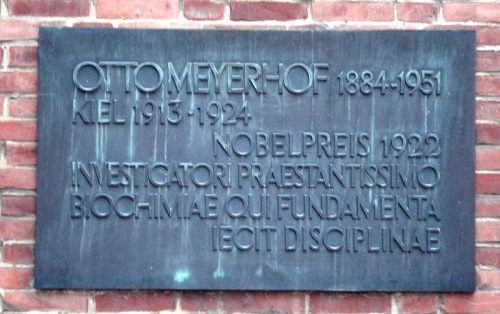 meyerhofplaque