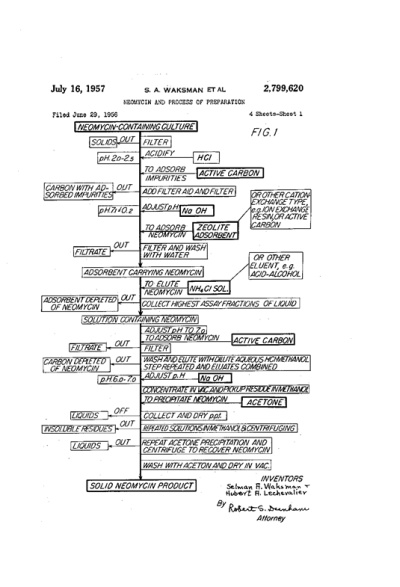 waksman_fig2