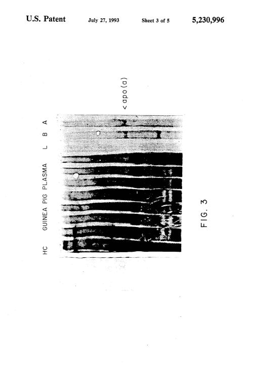 pauling-fig22