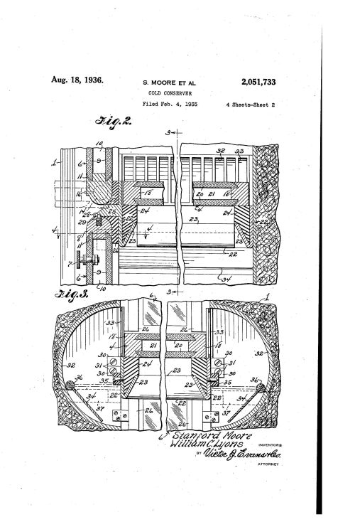 moore-fig2