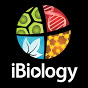 ibiology_logo